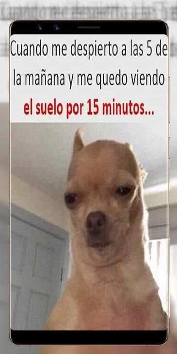 Imágenes de WhatsApp screenshot 7