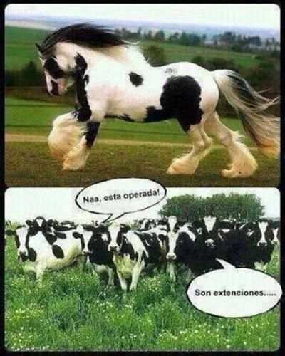 Imágenes de WhatsApp screenshot 1