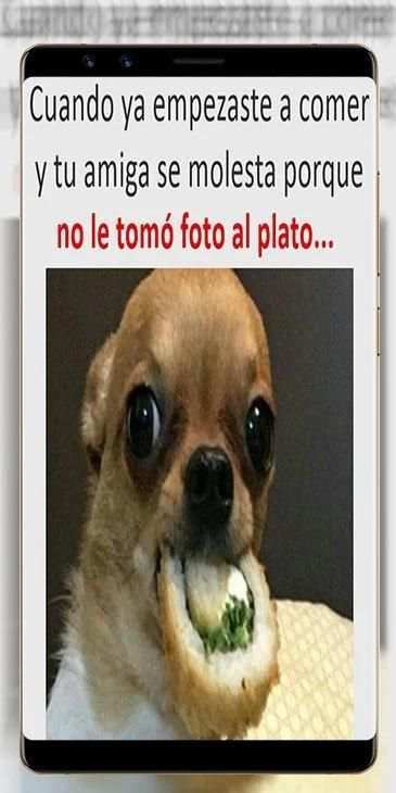 Imágenes de WhatsApp screenshot 6