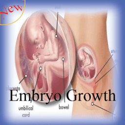 Embryo Growth иконка