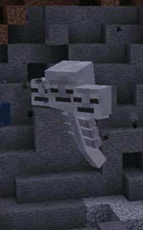 Wither God Mod MCPE स्क्रीनशॉट 2
