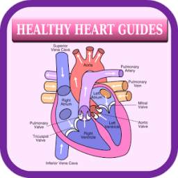 Healthy Heart Guides