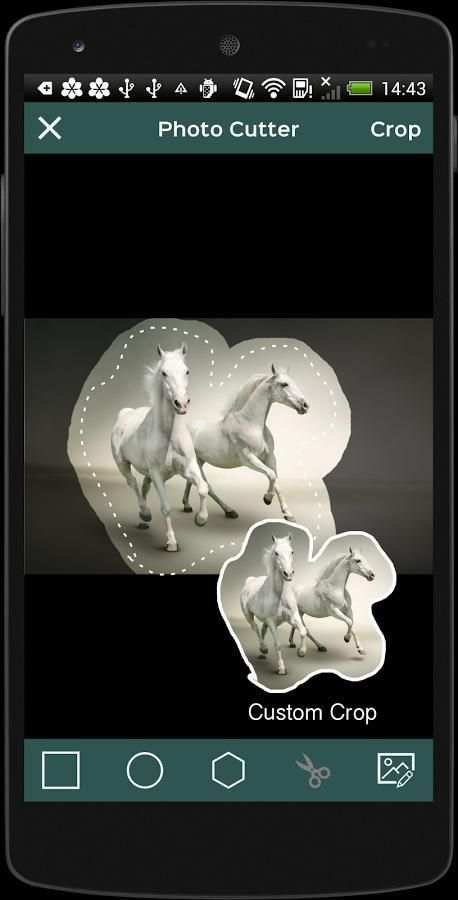 Photo Cutter screenshot 3