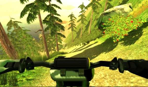 Downhill Bike Simulator MTB 3D screenshot 6