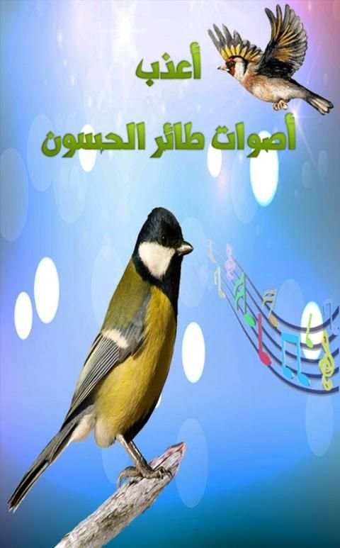 صوت طيور الحسون screenshot 1