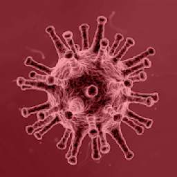 Coronavirus Italia