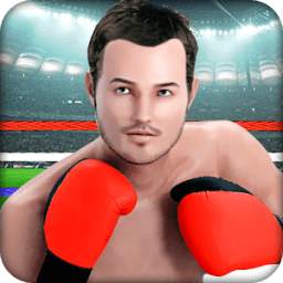 Punch Boxing Fighting Crush 3D
