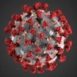 فيروس كورونا
‎ आइकन