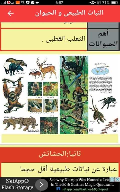 ملخص جغرافيا أولى إعدادى ترم 2 screenshot 1