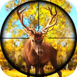 Hunting Animals With Sniper 1.0