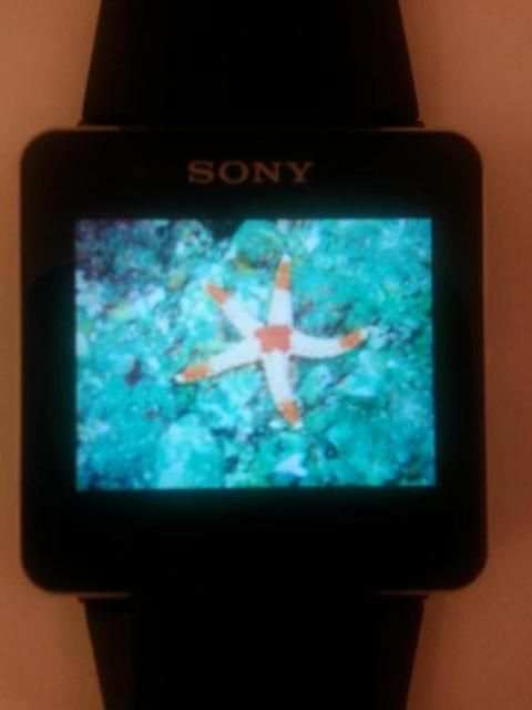 SmartWatch Gallery screenshot 6