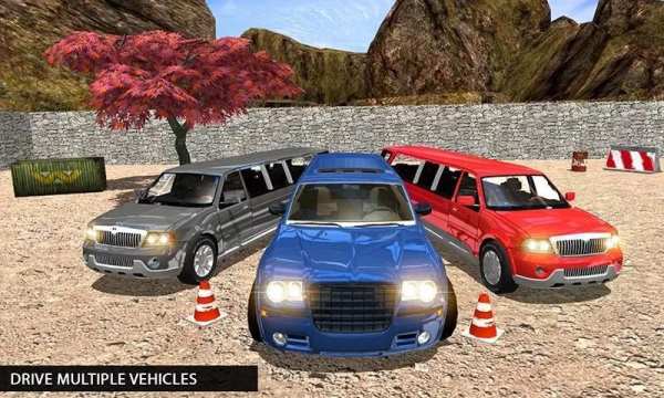 Offroad Uphill Limo Driving 3D स्क्रीनशॉट 15