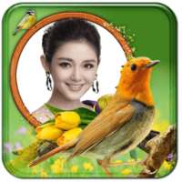 Birds Photo Frame: BPF