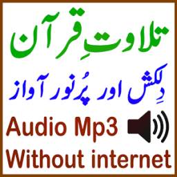 Quran Mp3 Audio Sadaqat Tilawat Offline Without Internet Islamic App 1.3