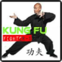Kung Fu Fighter-X