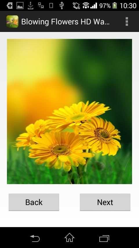 Flower Wallpaper for whatsapp скриншот 3
