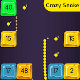 ikon Crazy Snake - Snake vs Block