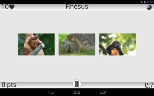 Animaux Quiz скриншот 4