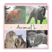 Animaux Quiz
