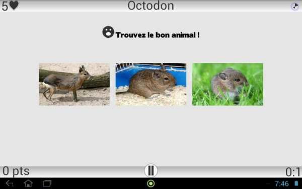 Animaux Quiz скриншот 8