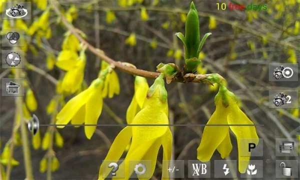 Your Camera स्क्रीनशॉट 3