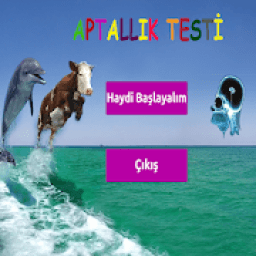 ikon Aptallık Testi