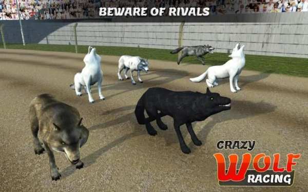 Wild Wolf Racing Game स्क्रीनशॉट 1