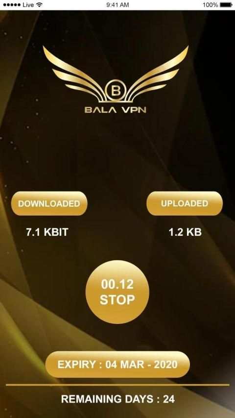 Bala VPN screenshot 1