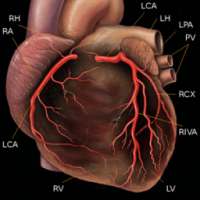 Coronary angiography