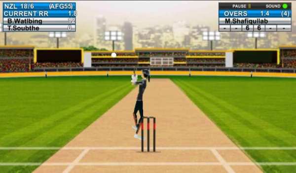 Domestic Cricket Tournament screenshot 1