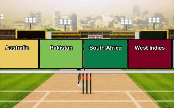Domestic Cricket Tournament screenshot 6