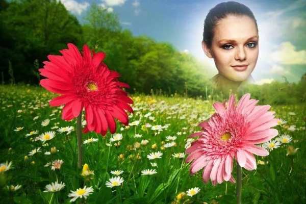 HD Photo Frames - Flowers 4 تصوير الشاشة