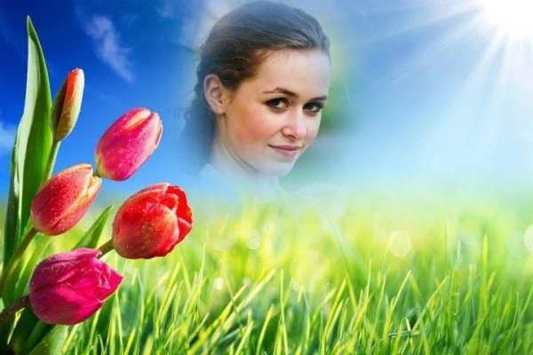 HD Photo Frames - Flowers 3 تصوير الشاشة