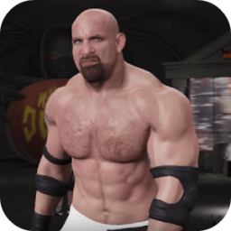 Wrestling WWW Fight Guide आइकन