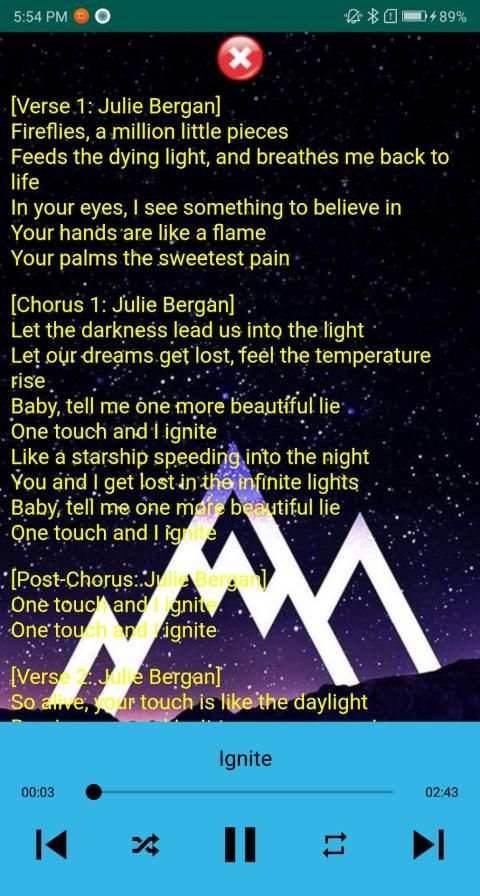 Alan Walker Song plus Lyrics स्क्रीनशॉट 3