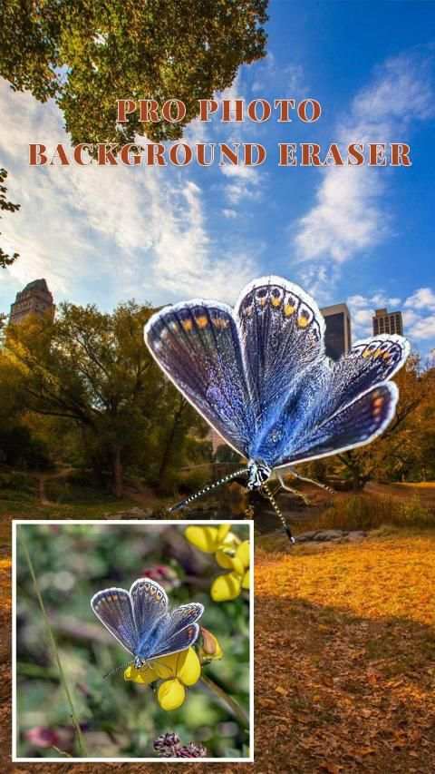Pro Photo Background Eraser स्क्रीनशॉट 3