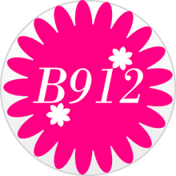 Camera B912 - Selfie Heart أيقونة