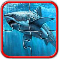 Sharks Jigsaw Puzzles Game kid logo