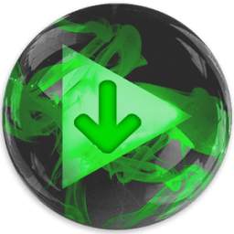 Any Video Downloader 1.2