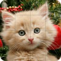 Tile Puzzle Cats