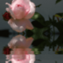 Beautiful Pink Rose Live Wallpaper icon
