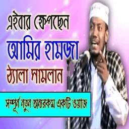 মাওলানা আমির হামজা(Bangla waz)