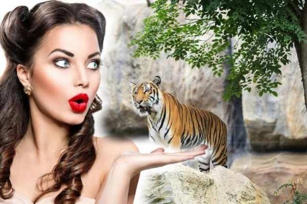 Wild Animal Photo Backgrounds screenshot 6