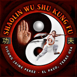 Shaolin Wushu Kung Fu иконка