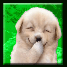 ikon Animal Sounds for Kids (Free)