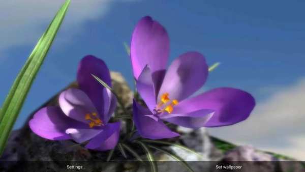 Nature Live❁ Spring Flowers 3D screenshot 1