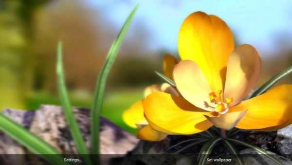 Nature Live❁ Spring Flowers 3D screenshot 4