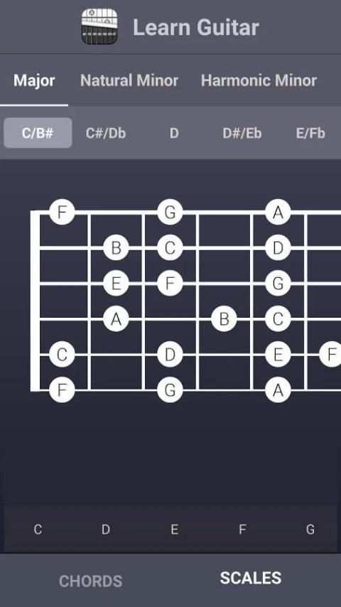 Learn Guitar Chords & Scales скриншот 2