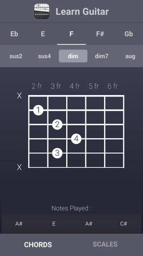 Learn Guitar Chords & Scales скриншот 3