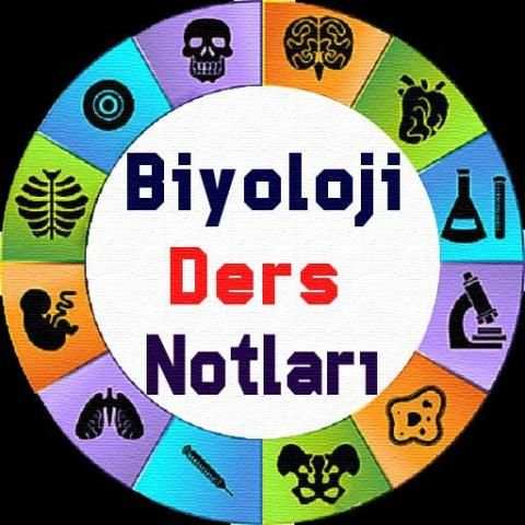Biyoloji Ders Notları screenshot 1